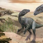 "Ông tổ" của những quái thú "vĩ đại nhất" lộ diện avatar1761019560801 17610195611771712906852 0 96 315 600 crop 17610196508781801331299jpg