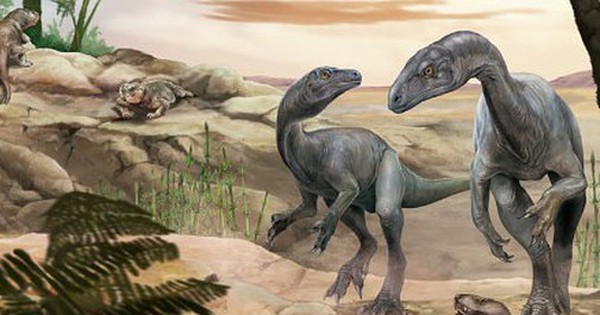 "Ông tổ" của những quái thú "vĩ đại nhất" lộ diện avatar1761019560801 17610195611771712906852 0 96 315 600 crop 17610196508781801331299jpg