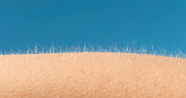 Tại sao chúng ta nổi da gà khi sợ hãi hoặc xúc động? avatar1761038943477 17610389443471382222156 0 0 675 1080 crop 17610389577541465792841jpg