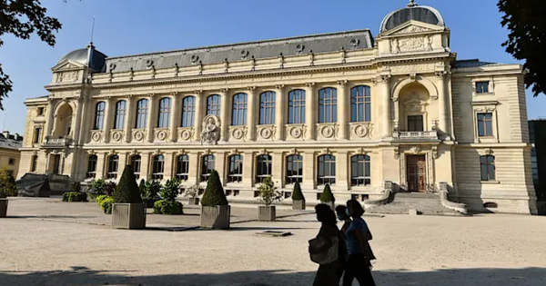 Người phụ nữ Trung Quốc bị buộc tội trộm vàng tại bảo tàng của Pháp avatar1761183105544 1761183105997266171116png