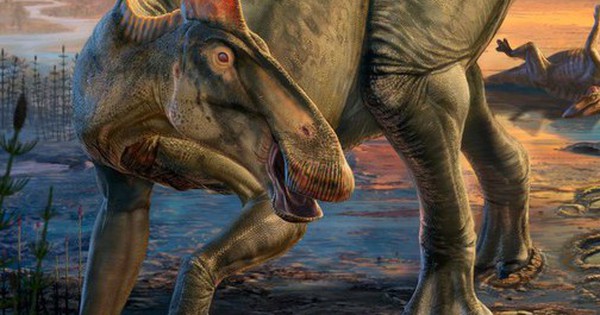 "Xác ướp" quái vật dài 12 m gây sốc ở Mỹ avatar1761378995981 17613789983911488086484 0 25 315 529 crop 17613790105801598929421jpg