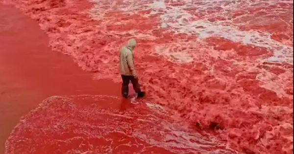 Sau trận mưa kỳ lạ, bãi biển bất ngờ nhuộm đỏ như máu, cơ quan lữ hành nói: Liên quan tới tên gọi nơi này avatar1761453618620 17614536205791318512054 30 0 478 717 crop 17614597288951293919858png