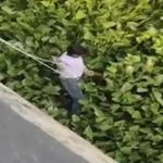 Vướng vào bèo tây khi nhảy sông tự tử, người đàn ông được giải cứu avatar1761461198057 1761461198439883896449 0 42 315 546 crop 176146121832366739899jpg