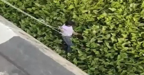 Vướng vào bèo tây khi nhảy sông tự tử, người đàn ông được giải cứu avatar1761461198057 1761461198439883896449 0 42 315 546 crop 176146121832366739899jpg