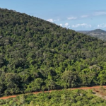 Phát hiện kho báu đất hiếm trị giá 62,4 tỷ USD nằm la liệt dưới cánh rừng 157 hecta, Mỹ và Trung Quốc đồng loạt lên dây cót, chạy đua giành phần thắng avatar1761461532033 1761461532333303142994 0 96 315 600 crop 17614615526241819547988png