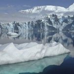 Phát hiện dạng sống “bất khả thi” ở Bắc Cực avatar1761795869001 17617958693251700707212 0 52 315 556 crop 17617958886862069116004jpg