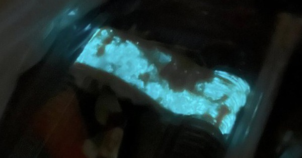 Người phụ nữ sốc nặng khi phát hiện món sushi bất ngờ phát sáng avatar1761989346214 1761989346495735888252 0 78 315 582 crop 17619893631201585707429jpg