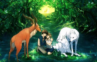 Tiết lộ gây sốc này sẽ thay đổi cách bạn xem bộ phim vĩ đại nhất của Studio Ghibli avatar1762066542543 17620665431721295864012jpg