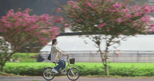 Quá tiếc cho ai còn chưa biết đến phim Hàn này: Nữ chính đẹp bằng cả showbiz cộng lại, giá mà mỗi tập dài gấp đôi avatar1762074627831 17620746289581173540652 27 0 421 752 crop 1762074697214176302506gifpng