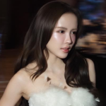 Gương mặt "phản chủ" của Thiều Bảo Trâm avatar1762096045530 17620960459811144653058 0 0 251 480 crop 17620960981992061243655png