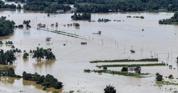 Philippines chuẩn bị ứng phó bão mới avatar1762133004679 1762133004846905627004 0 0 315 504 crop 1762133028731182181263jpg