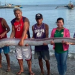 Đang đi dạo biển, người dân bỗng phát hiện cảnh tượng "nổi da gà" giữa ban ngày avatar1762226809048 1762226809404810866090 0 0 315 504 crop 17622268228691271619879png