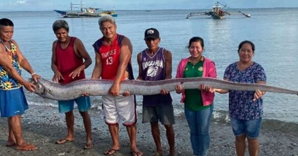 Đang đi dạo biển, người dân bỗng phát hiện cảnh tượng "nổi da gà" giữa ban ngày avatar1762226809048 1762226809404810866090 0 0 315 504 crop 17622268228691271619879png