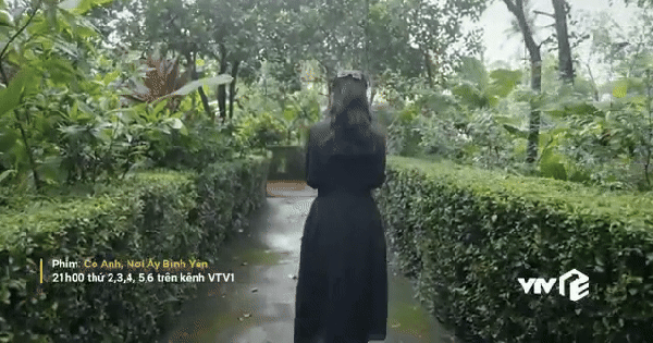 Phim Việt giờ vàng quá hay xứng đáng nổi tiếng hơn: Nữ chính diễn như lên đồng, ai chưa xem thì phải xem gấp avatar1762262877762 17622628786442009793001 25 0 360 640 crop 1762262985438354054118gifpng