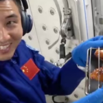 Phi hành gia nướng cánh gà và bít tết ngay trên trạm vũ trụ avatar1762300773738 1762300774634147087232 0 0 277 443 crop 17623043185301759599013png