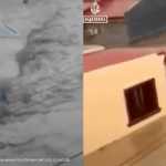 Bão Kalmaegi tàn phá Philippines: Ít nhất 46 người thiệt mạng, hàng chục nghìn người phải sơ tán avatar1762304367550 17623043679711729058311gifpng