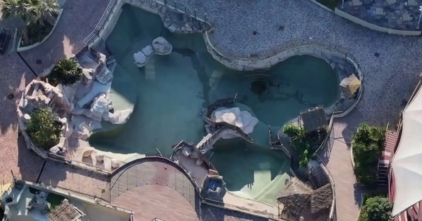 Phát hiện chấn động trong công viên biển bỏ hoang ở Pháp avatar1762316103696 17623161040051165491444jpg