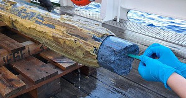 Phát hiện sự sống kỳ lạ ở "tử địa" của Trái Đất avatar1762321138471 1762321138814173299551 22 75 292 507 crop 17623211554101790350253jpg