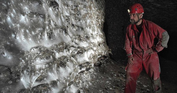 Hơn 111.000 con nhện, 106 mét vuông mạng chăng kín ẩn giấu bí mật về hệ sinh thái độc hại nhưng cân bằng avatar1762564043518 17625640482701755805639jpg