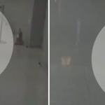 Hàn Quốc triệt phá đường dây ma túy lớn từ Thái Lan avatar1762564777274 1762564777688182762837 0 235 568 1144 crop 17625647944061618164291png