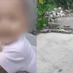 Hai bé gái ở Trung Quốc hành hung bé trai 7 tháng tuổi đến tử vong: Không thể khởi tố vì “chưa đủ 12 tuổi” avatar1762593918038 1762593918672152480986png