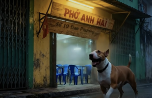 Phở Anh Hai xuất hiện phiên bản trailer phim hành động: Ê nha, khéo bom tấn! avatar1762598395180 17625983961752028871237png