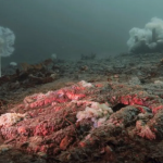 Tiếng nổ như đại bác vang lên liên tục từ lòng hồ suốt hàng trăm năm: Đáp án khiến giới khoa học sững sờ avatar1762603749274 17626037496101407208953 43 0 847 1286 crop 17626037851061966731252png