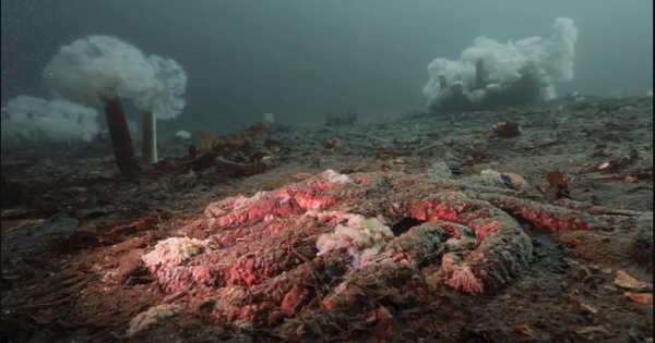 Tiếng nổ như đại bác vang lên liên tục từ lòng hồ suốt hàng trăm năm: Đáp án khiến giới khoa học sững sờ avatar1762603749274 17626037496101407208953 43 0 847 1286 crop 17626037851061966731252png