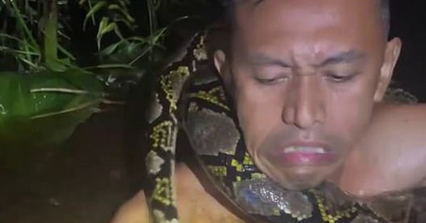 Cảnh tượng kinh hoàng: Trăn khổng lồ kéo người trên thuyền xuống sông ở Indonesia avatar1762675315214 1762675315589729310701 0 96 315 600 crop 1762675339369716264082jpeg