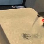 Bị từ chối hủy đặt phòng, khách cố tình xả nước làm ngập phòng khách sạn, sau đó phải đền gấp gần 300 lần số tiền ban đầu avatar1762833313399 1762833314054394797291 0 39 419 709 crop 17628333709882136076197jpg