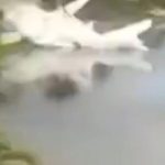 Rơi máy bay chở hàng cứu trợ sau bão, 2 cha con tử vong thương tâm avatar1762848643531 1762848643895363371084 0 34 315 538 crop 1762848787098272932245jpg