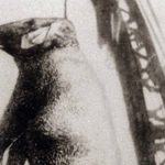 Con voi bất hạnh nhất lịch sử avatar1762869485045 1762869485460358996357 0 0 315 504 crop 17628694903411125123888jpg