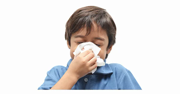 Virus H3N2 đột biến có thể làm bùng phát dịch cúm tại châu Á avatar1762952205297 17629522056332085142171png