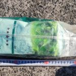 Phát hiện nhiều gói ma túy ketamine trôi dạt vào đảo du lịch Jeju (Hàn Quốc) avatar1763083876274 17630838767001778050266jpg