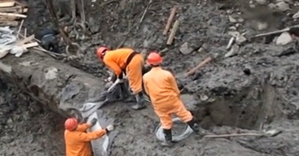 Người đàn ông đào được khúc gỗ đen sì tỏa ra mùi thơm, dài hơn 30m, nặng 60.000 kg: Cảnh sát lập tức phong tỏa hiện trường avatar1763120481655 1763120482389321876748jpg