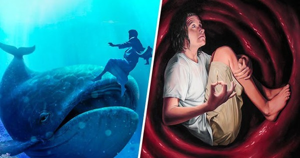 Liệu một người bị cá voi nuốt chửng có thể dùng dao rạch bụng cá voi để thoát ra? Sự thật khoa học khiến nhiều người bất ngờ avatar1763124352309 1763124352515554153892jpg