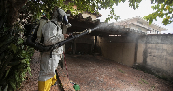 Cảnh báo về sốt xuất huyết và sốt vàng da avatar1763276336170 17632763370782103703388jpg