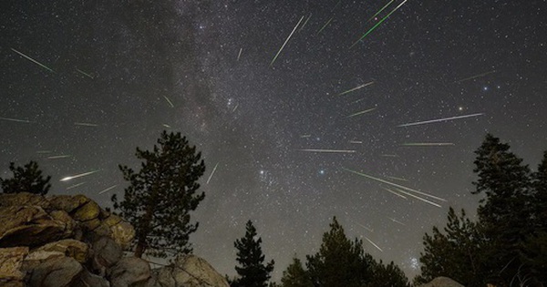 Đêm nay, Việt Nam đón cực đại mưa sao băng "Sư Tử" avatar1763350079345 1763350080104301844886 0 40 315 544 crop 1763350091121739751218jpg