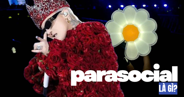 Parasocial là gì mà được Từ điển Cambridge bình chọn là Từ khóa của năm 2025? avatar1763455962785 1763455963215395669102 75 0 578 960 crop 17634559782891389025834png