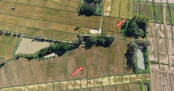 Cánh đồng gần chùa bỗng đổi dạng trong một đêm, dân làng xôn xao "chưa từng thấy bao giờ" avatar1763627318888 17636273194451523557494 55 0 516 737 crop 17636273325971637737441jpg