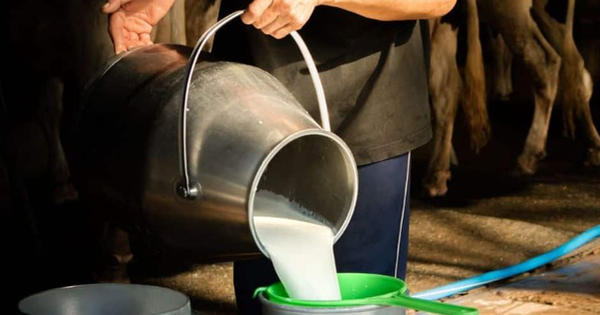 Đột kích vào nhà dân, cảnh sát triệt phá đường dây sữa giả chỉ hoạt động vào đêm và sáng sớm, tiêu hủy 400 lít sữa pha chế từ hóa chất avatar1763646710806 17636467110781215335312png