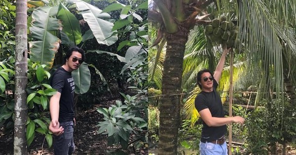 Tình thế đáng lo của nam tài tử Việt vỡ nợ 20 tỷ đồng avatar1763722511304 17637225121891932226138 67 0 423 680 crop 1763722565601723371315jpg