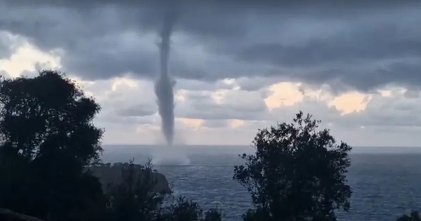 Vòi rồng khổng lồ xuất hiện trên biển khiến người dân sốc nặng avatar1763875928522 17638759289601004945183jpg