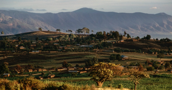 Phát hiện mỏ đất hiếm trữ lượng hơn 214 triệu tấn có giá trị lên đến hơn 900 tỷ USD: Úc tìm thấy nhưng lập tức "rơi vào tay" Trung Quốc avatar1763952212420 1763952212952521353139png