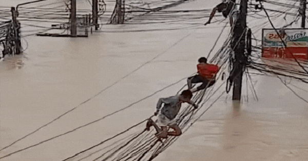 Bàng hoàng cảnh người dân Thái Lan leo dây điện để chạy lũ avatar1764065587078 17640655873422110934361gifpng