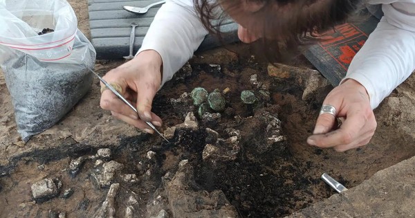 Phát hiện chấn động ở Pháp: Ngôi mộ đầy điểm bất thường và 22 báu vật vàng avatar1764086412883 17640864134542029393296jpg