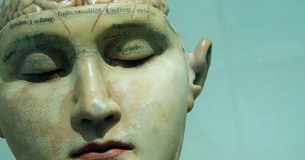 Bốn lần não bộ tự "khởi động lại" trong đời: Bạn đang ở giai đoạn nào? avatar1764229908233 17642299086101622845111jpg