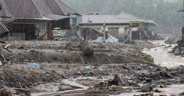 Đông Nam Á mưa lũ nhiều, vì sao? avatar1764418099491 1764418099963598961061jpg