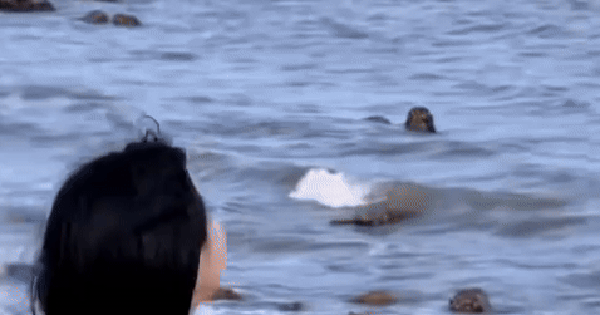 Nhìn mỹ nhân Việt này xong chỉ ước có thuốc xóa ký ức: Mắt trợn ngược cả ngày, giỏi nhất là đóng vai nạn nhân avatar1764422502338 1764422503367785779784 0 0 251 480 crop 1764422541208693739589gifpng