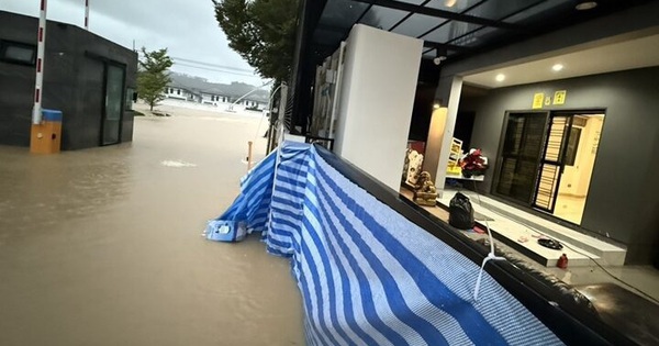 Khám phá “pháo đài khô ráo duy nhất” giữa lũ ở Thái Lan avatar1764477589109 1764477589345625547980jpg